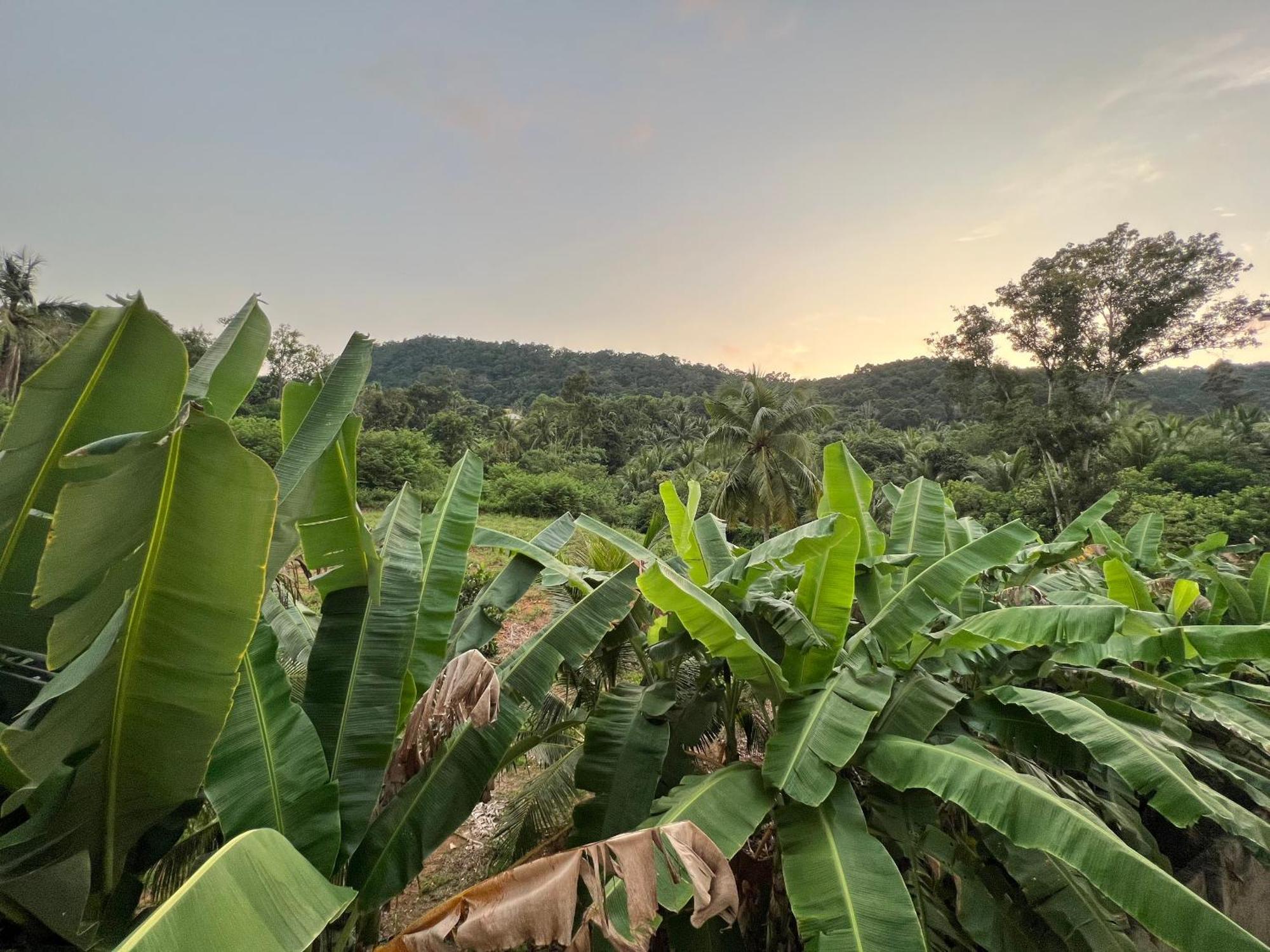 Bungalow Sáng Tươi Mountains Phu Quoc Bagian luar foto